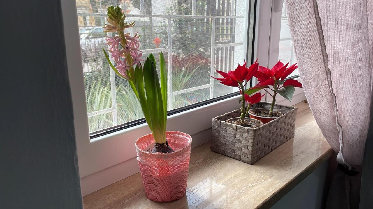 Suite Europa San Vito dei Normanni Extérieur photo